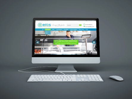 Webdesign pour le site internet efcs.fr