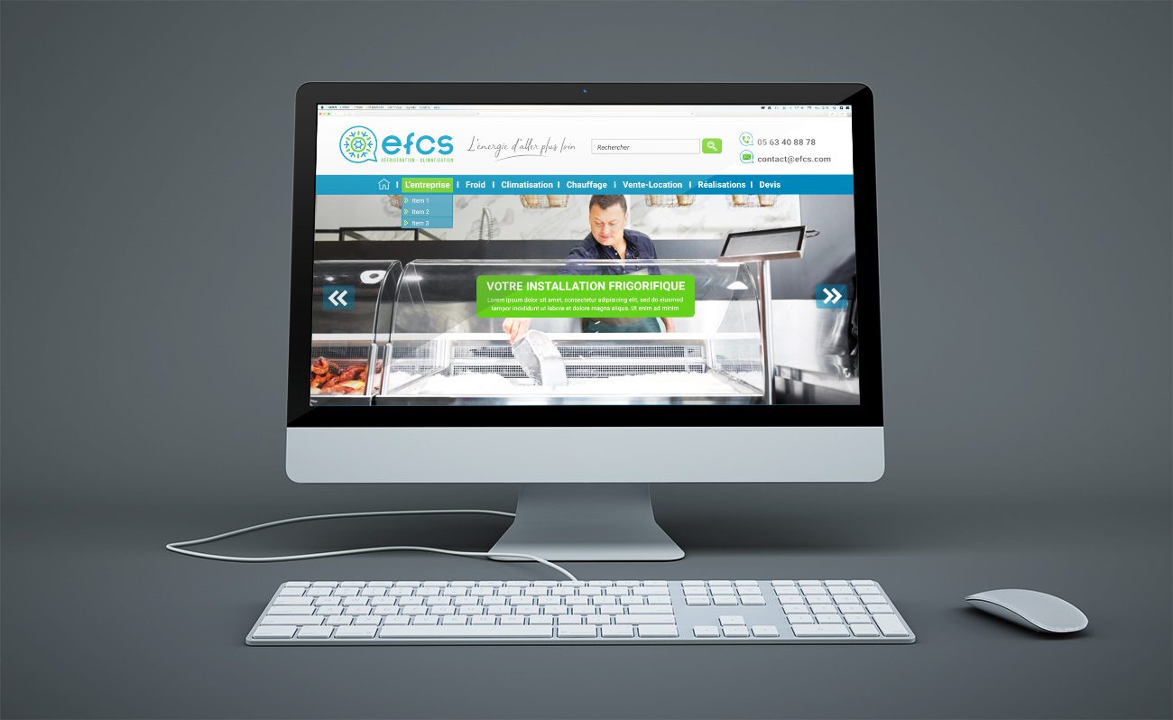 Conception du webdesign du site efcs.fr